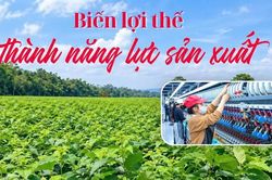 Biến lợi thế thành năng lực sản xuất
