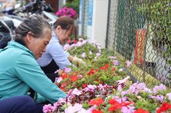 Người dân chung tay làm đẹp mùa Festival