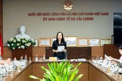 Luật Giao dịch hàng hóa phái sinh: Phải neo thị trường vào nền kinh tế thực