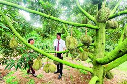 Giữ nhịp lãi suất, khơi thông dòng vốn cho nền kinh tế