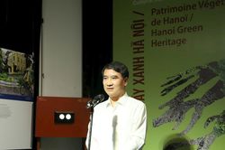 Khởi động mùa văn hóa 'Di sản cây xanh Hà Nội'