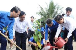 Tuổi trẻ cả nước đồng loạt ra quân Ngày Chủ nhật xanh
