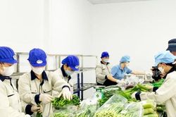 Minh bạch chuỗi cung ứng nông sản bằng dữ liệu số