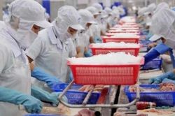 Khuyến nghị khẩn với doanh nghiệp xuất khẩu sang Singapore