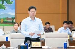 Đề xuất cấm sản xuất, kinh doanh, tàng trữ, vận chuyển, xuất khẩu, nhập khẩu thuốc lá điện tử, thuốc lá nung nóng
