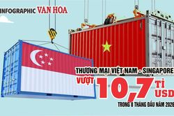 10,7 tỉ USD thương mại Việt Nam - Singapore, nhập siêu 1,55 tỉ USD