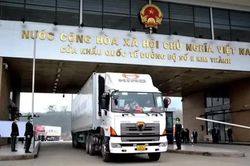 Phân cấp cho địa phương kiểm tra an toàn thực phẩm nhập khẩu diễn ra suôn sẻ