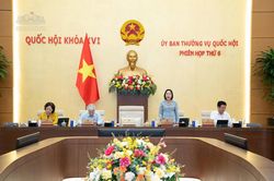 Bổ sung hành vi bị nghiêm cấm đối với thuốc lá điện tử, thuốc lá nung nóng