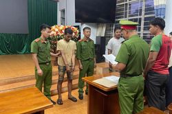 Khởi tố đạo chích cùng đồng phạm