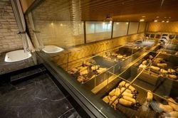 Một đêm ngắm nhìn hàng trăm con lợn?