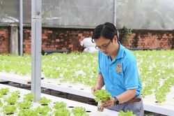 Nông nghiệp đô thị chuyển mình