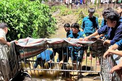 Hà Nội: Khẩn trương kiểm tra, xác minh, làm rõ trách nhiệm vụ nam sinh rơi xuống cống tử vong
