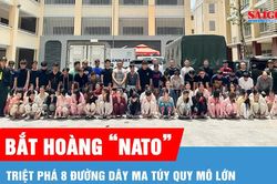 Bắt Hoàng 'Nato', triệt phá 8 đường dây ma túy quy mô lớn