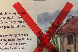 Công an làm việc với người ghép ảnh SGK có bài thơ 'thịt chó mắm tôm'