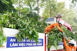 EVNHCMC chủ động các giải pháp đảm bảo an toàn điện vùng ven biển mùa mưa bão