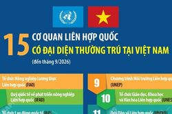 15 cơ quan Liên hợp quốc có đại diện thường trú tại Việt Nam