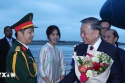 Tổng Bí thư, Chủ tịch nước Tô Lâm đến New York tham dự Phiên thảo luận cấp cao Đại hội đồng Liên hợp quốc