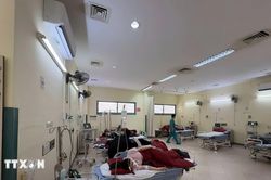 Vụ nghi ngộ độc tại Công ty Scavi Huế: 198 bệnh nhân đã xuất viện