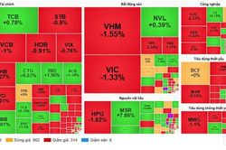 Chứng khoán ngày đầu nâng hạng: Cổ phiếu vào rổ FTSE vẫn phân hóa