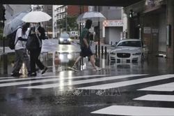Bão Dujuan áp sát Tokyo, giao thông Nhật Bản đảo lộn trong kỳ nghỉ