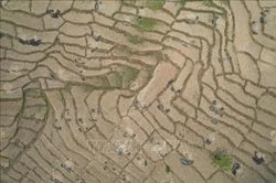 Nguy cơ mất mùa khi El Nino xô đổ hàng loạt kỷ lục nhiệt độ