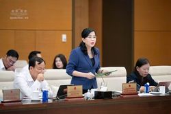 Sửa Luật Điện lực: Cơ quan thẩm tra đề nghị chỉ sửa đổi những vấn đề thực sự cấp thiết