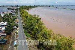 Khi hàng tre trở thành 'vành đai xanh' nơi biên giới