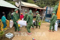 Đà Nẵng di dời khẩn cấp 40 hộ dân khỏi vùng nguy cơ sạt lở cao