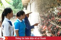 Nguồn vốn chính sách tiếp sức phụ nữ miền núi làm kinh tế