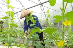 Mở rộng cơ hội tham gia bảo hiểm thất nghiệp cho lao động thời vụ, nông dân, ngư dân