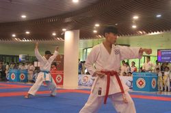 Khơi dậy đam mê karate