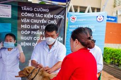 Quyết liệt phòng, chống bệnh dại, yêu cầu tiêm phòng 100% tại khu vực có dịch