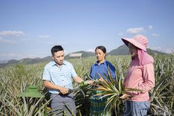 'Khoảng trống' phía sau những bước chân rời bản (bài 3)