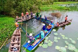 Cần nhân rộng du lịch sinh kế bền vững tại vùng đệm Vườn Quốc gia Tràm Chim