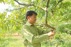 Hội Cựu chiến binh xã Chi Lăng: Đồng hành cùng hội viên phát triển kinh tế