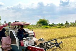 Sông Lũy tập trung chuyển đổi cây trồng, vật nuôi phù hợp