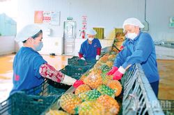 Doanh nghiệp tăng tốc sản xuất những tháng cuối năm