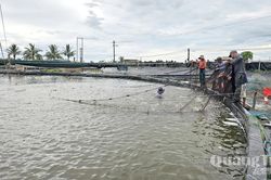 Bảo vệ diện tích nuôi thủy sản trước mùa mưa bão