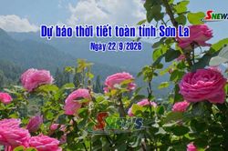 Dự báo thời tiết toàn tỉnh Sơn La ngày 22/9/2026