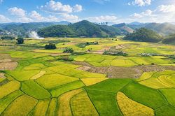 Xanh ruộng đồng, tươi màu no ấm