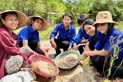 Học nghề đổ giá truyền thống