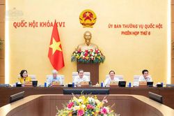 Ủy ban Thường vụ Quốc hội thông qua dự thảo Nghị quyết Chương trình lập pháp năm 2027
