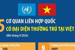 15 cơ quan Liên Hợp Quốc có đại diện thường trú tại Việt Nam