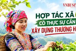 HTX có thực sự cần xây dựng thương hiệu?