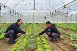 Khơi dậy nội lực buôn làng, đồng bào vùng cao đổi đời từ nếp nghĩ mới