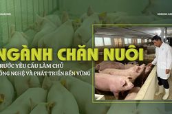 Ngành chăn nuôi trước yêu cầu làm chủ công nghệ và phát triển bền vững