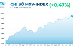 Thị trường hàng hóa: MXV-Index giằng co trên vùng 3.000 điểm