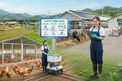 Ngành chăn nuôi trước cuộc sàng lọc của thị trường