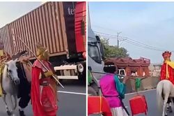 Xác minh nhóm người hóa trang 'Thầy trò Đường Tăng' cưỡi ngựa trên làn ôtô