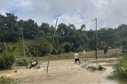 Mưa lớn gây sạt lở, hư hại nhà dân và cây cối tại Lâm Đồng